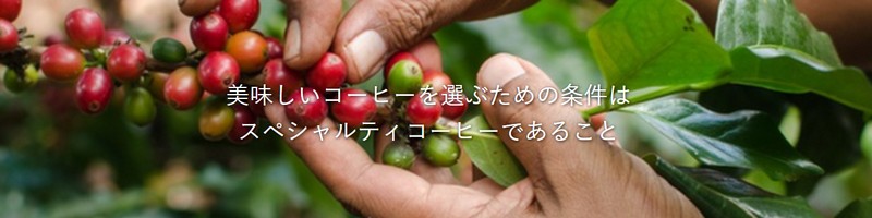 ���������X�y�V�����R�[�q�[���X�uROKUMEI COFFEE�v���T�C�g